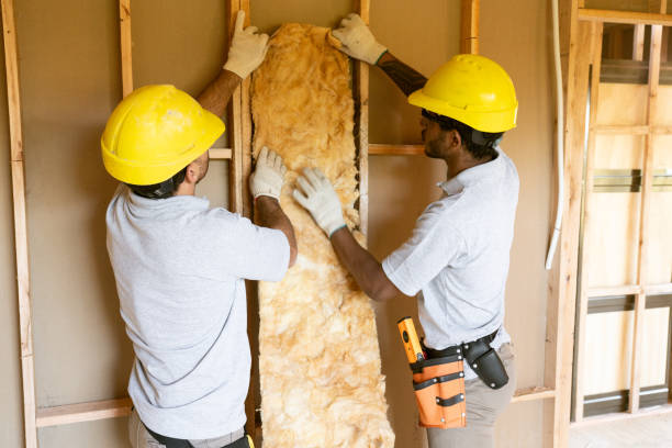 Best Local Insulation Services  in Southfield, MI