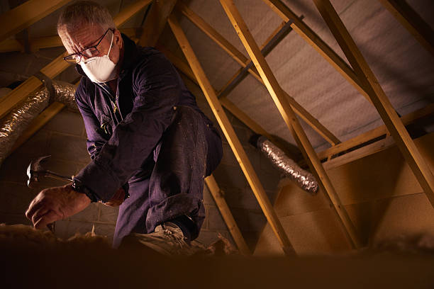 Best Insulation Repair Services  in Southfield, MI