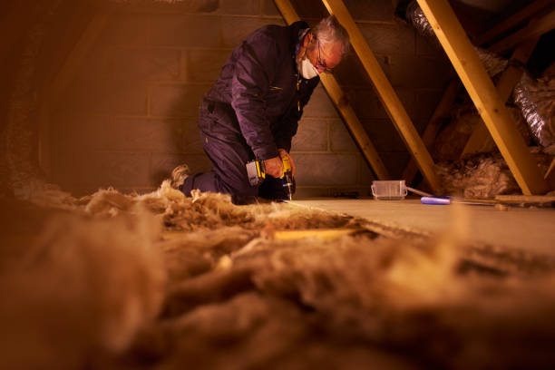 Best Insulation Inspection Services  in Southfield, MI